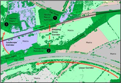 A systematic review of factors influencing habitat connectivity and biodiversity along road and rail routes in temperate zones